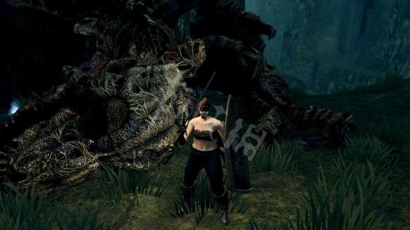 《黑暗之魂重制版》前期怎么玩?前期新手心得